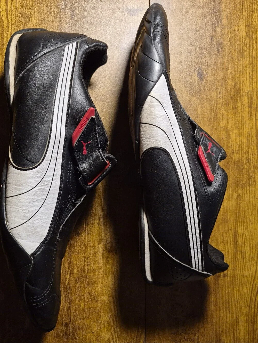 Puma redon move